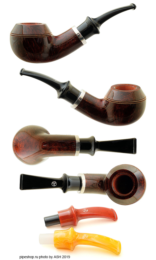   RATTRAY`S BELTANE`S FIRE BROWN SMOOTH BENT RHODESIAN,  9 