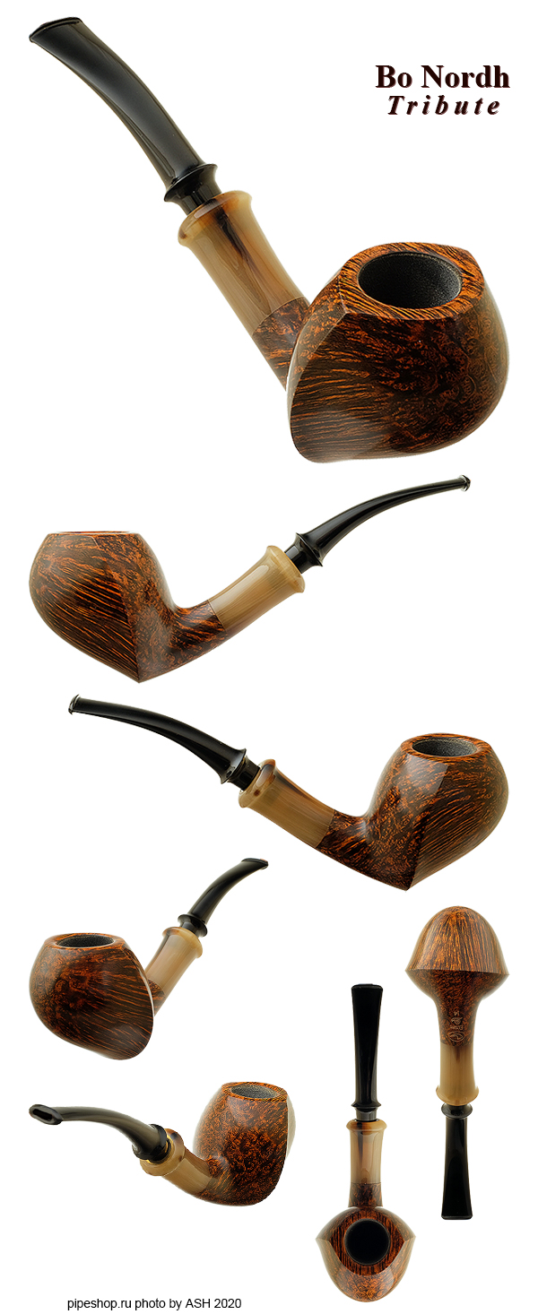   TOM ELTANG "BO NORDH TRIBUTE" SMOOTH SPHINX WITH HORN Grade SNAIL (2014)