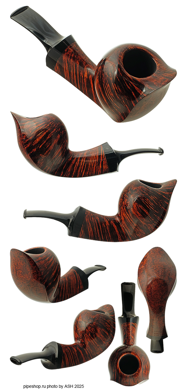   .  SMOOTH SNAIL FOOT