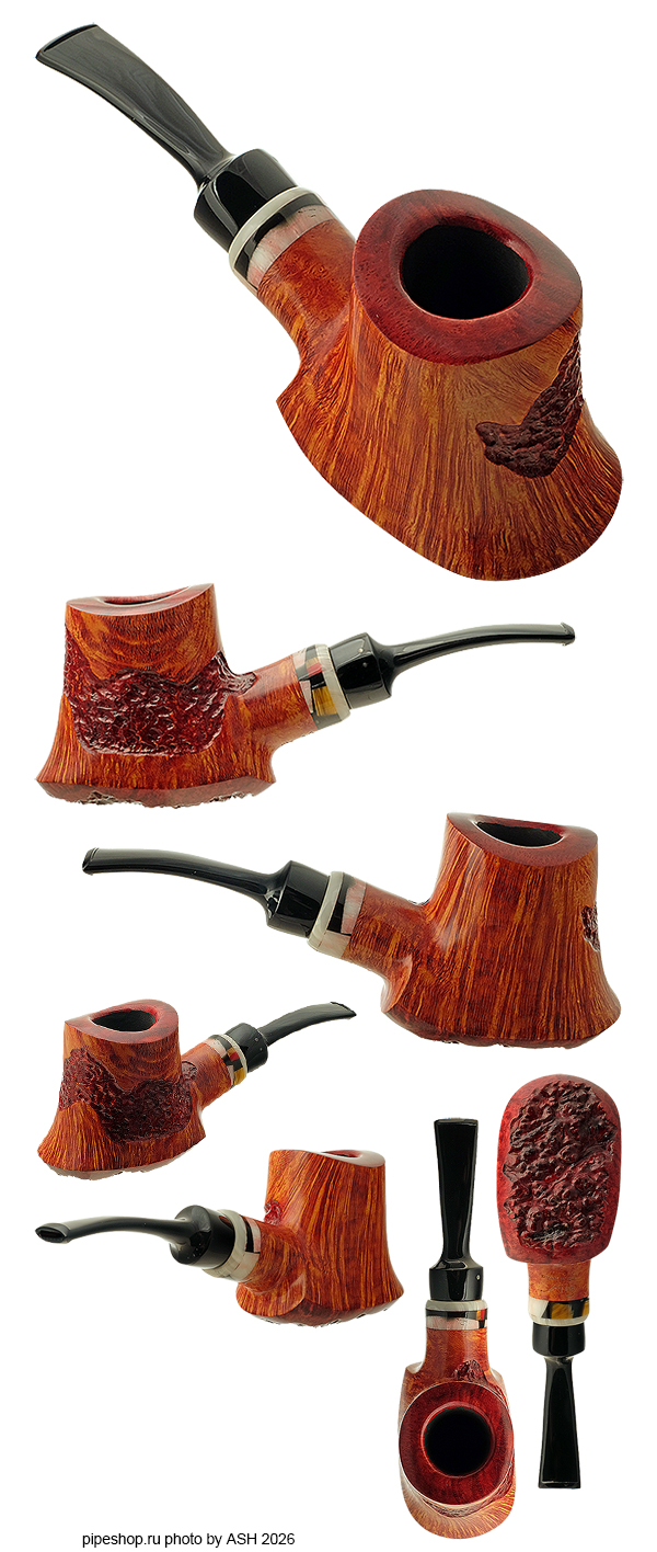 ����������� ������ WINSLOW E SEMIRUSTIC SITTER PLATEAU VOLCANO, ������ 9 ��